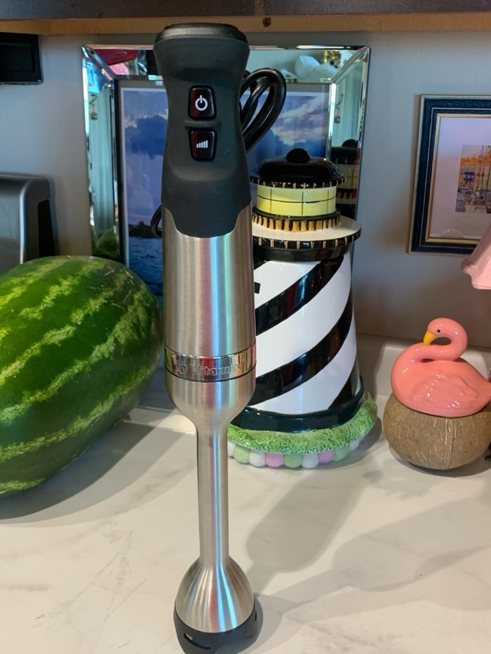Williams Sonoma Vitamix Stainless Steel Immersion Hand Blender - Black Handle